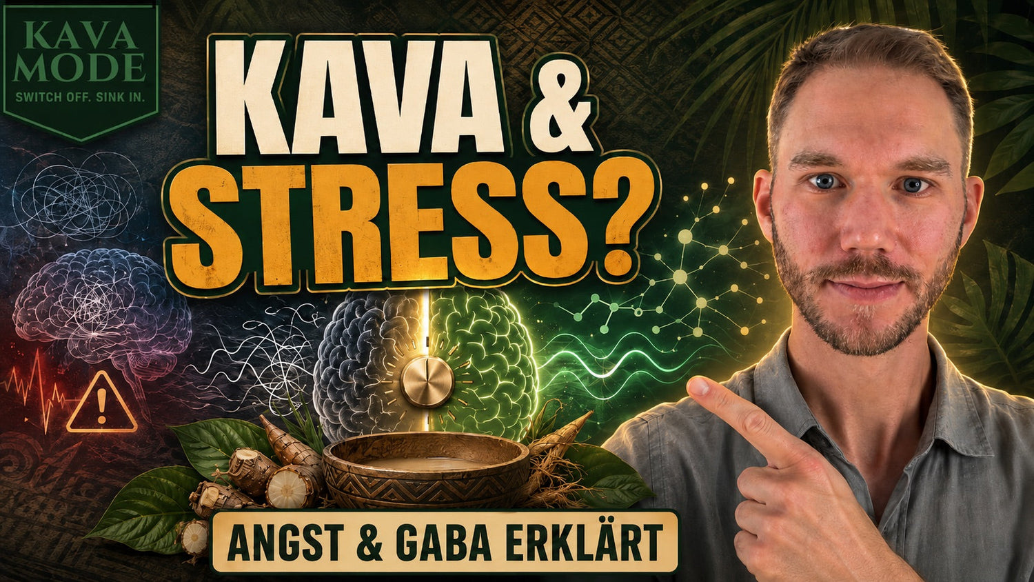 Kava gegen Stress und Angst – die wissenschaftliche Wahrheit! (Besser als Medikamente?)