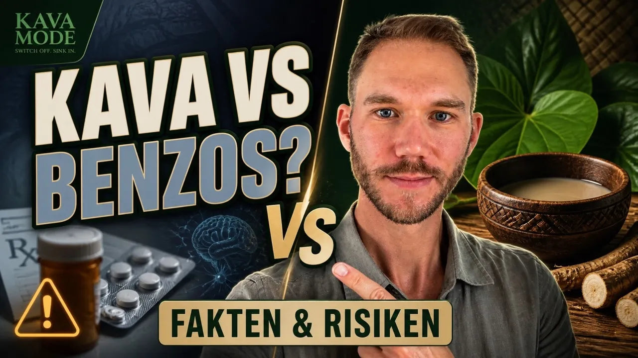 Kava vs. Benzos: Warum Big Pharma Angst vor dieser Wurzel hat