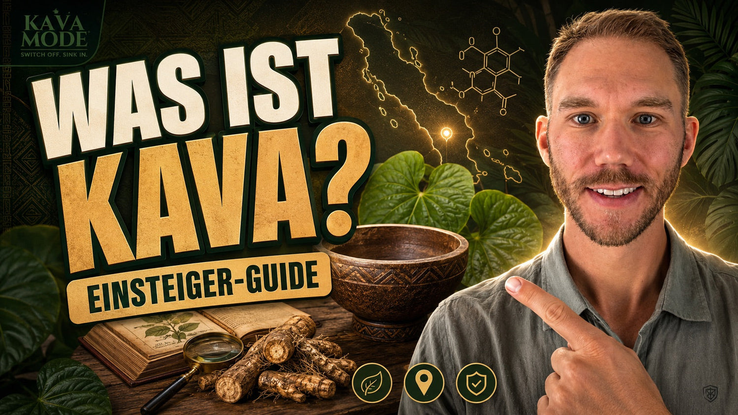 Was ist Kava? Der große Einsteiger-Leitfaden von A-Z